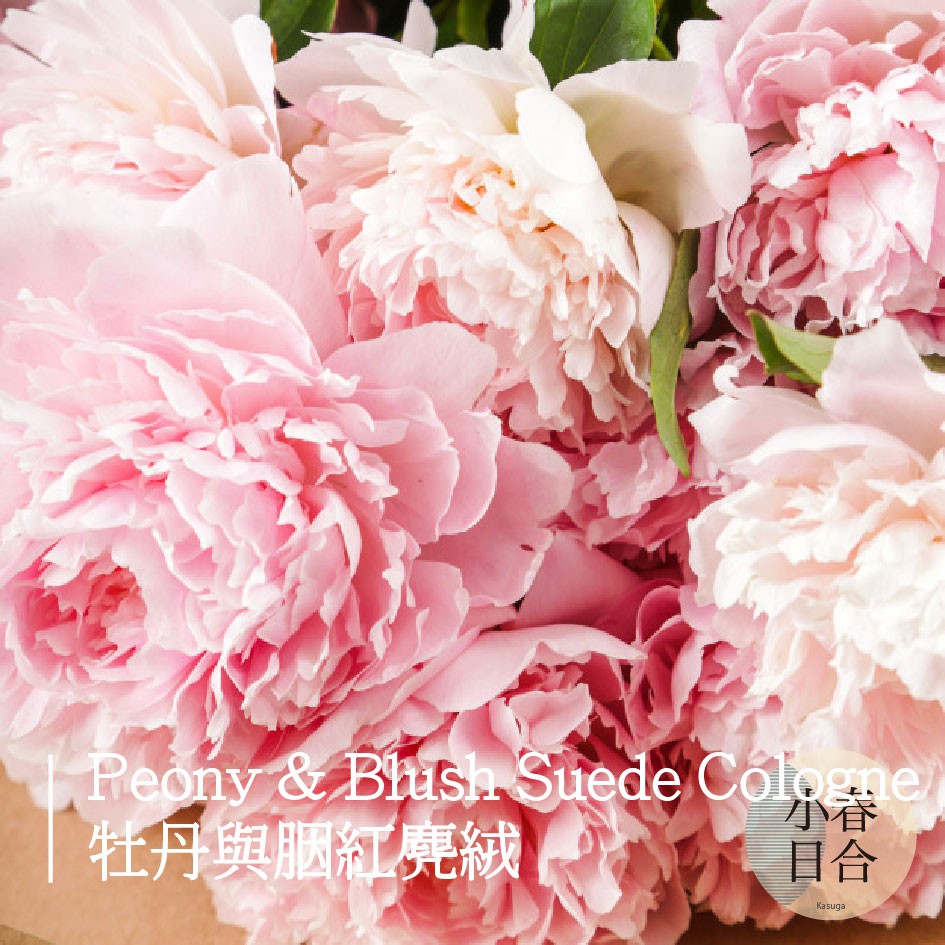 牡丹與胭紅麂絨香精。人氣香味。擴香DIY。分裝瓶。10ml 30ml 50ml 100ml【小春日合x材料坊】:圖片 2