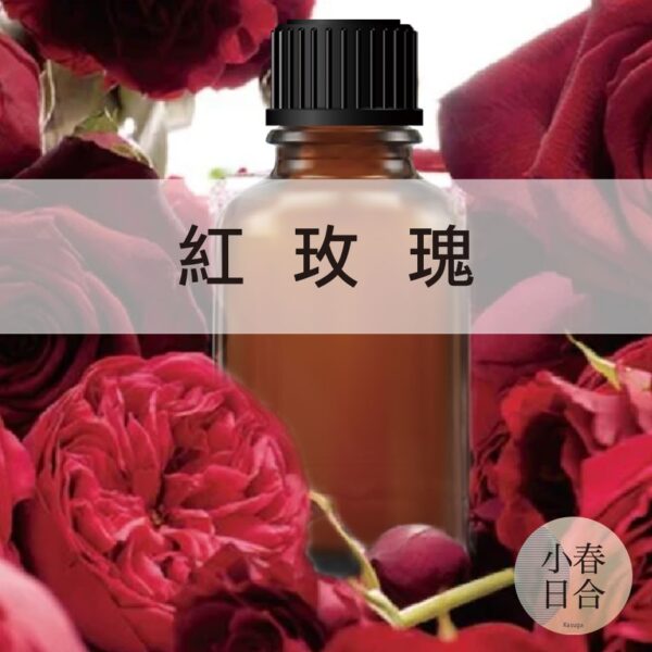 紅玫瑰香精。人氣香味。擴香DIY。分裝瓶。10ml 30ml 50ml 100ml【小春日合x材料坊】