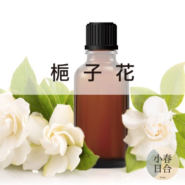 梔子花香精。花香香味。擴香DIY。分裝瓶。10ml 30ml 50ml 100ml【小春日合x材料坊】