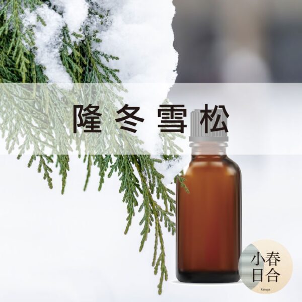 隆冬雪松精油。木質香味。雪松。擴香DIY。按摩精油。分裝瓶。30ml 50ml 100ml【小春日合x材料坊】