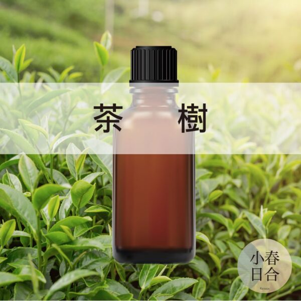 茶樹精油。中性香味。擴香DIY。精油。分裝瓶。30ml 50ml 100ml【小春日合x材料坊】