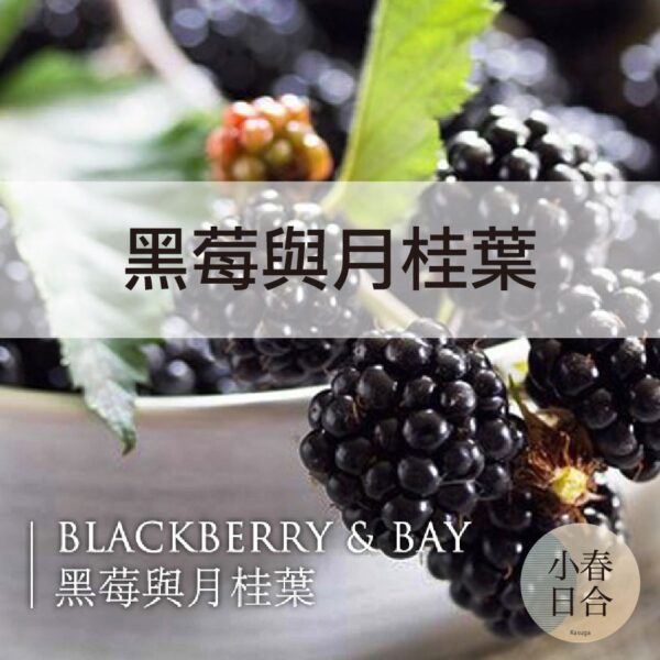 黑莓與月桂葉香精。人氣香味。擴香DIY。分裝瓶。10ml 30ml 50ml 100ml【小春日合x材料坊】